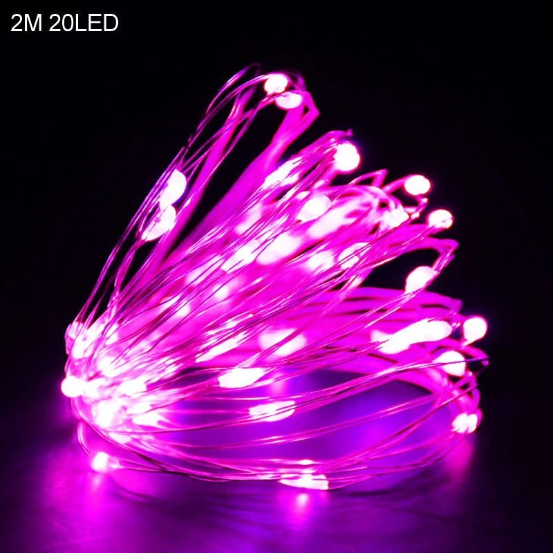 2M 20LED Santa Claus & Snowflake Light String