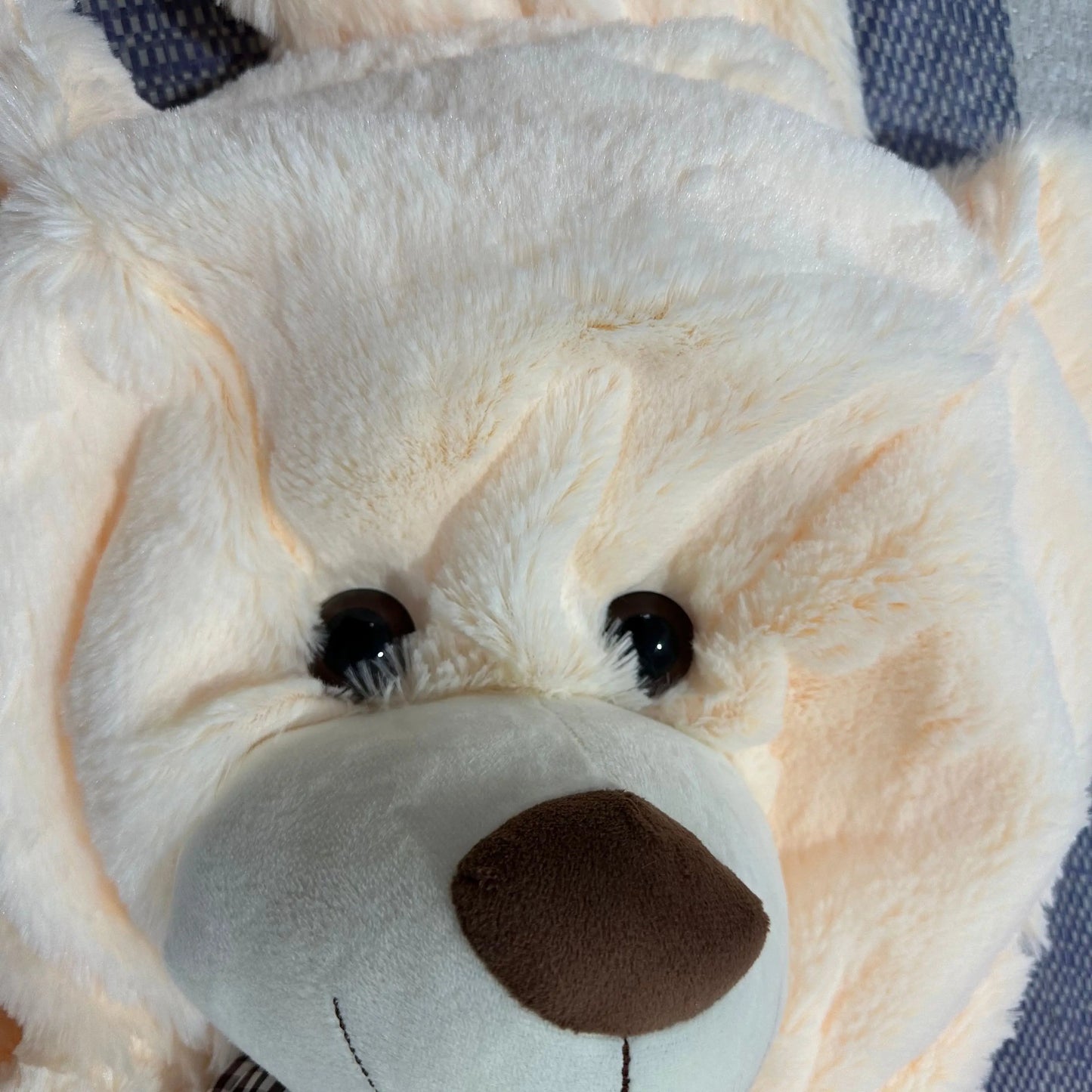 Soft Giant American Bear Plush