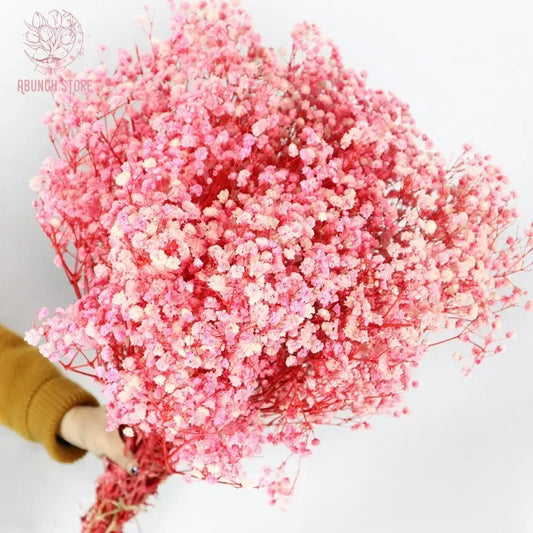 Natural Dried Pink Gypsophila