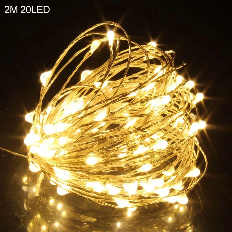 2M 20LED Santa Claus & Snowflake Light String