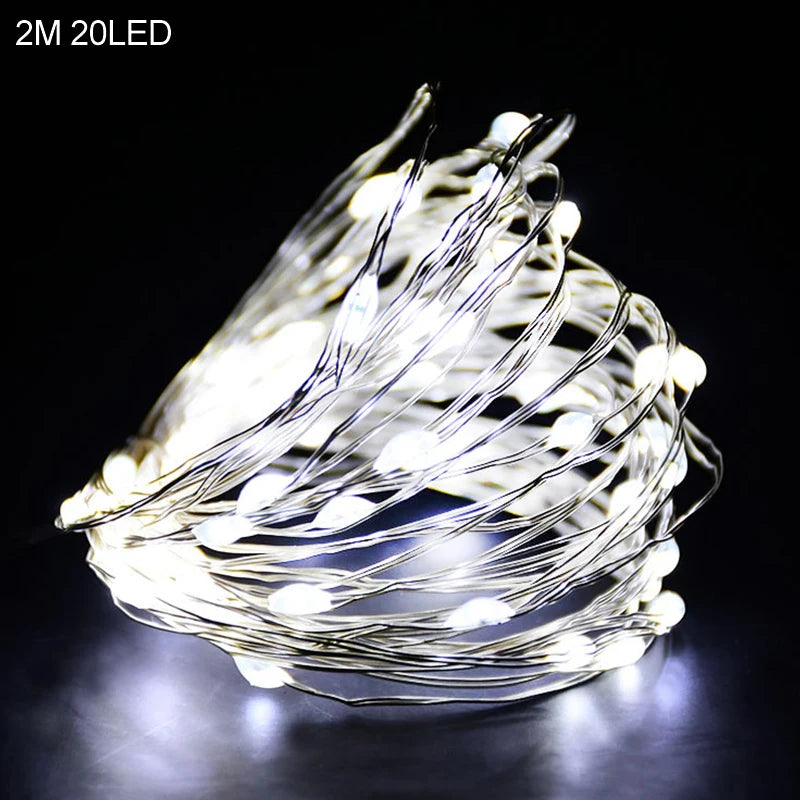2M 20LED Santa Claus & Snowflake Light String