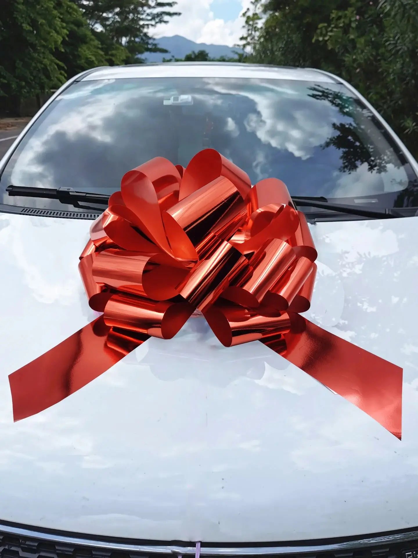 18-Inch Pull Bow – Perfect for Car Gift Wrapping