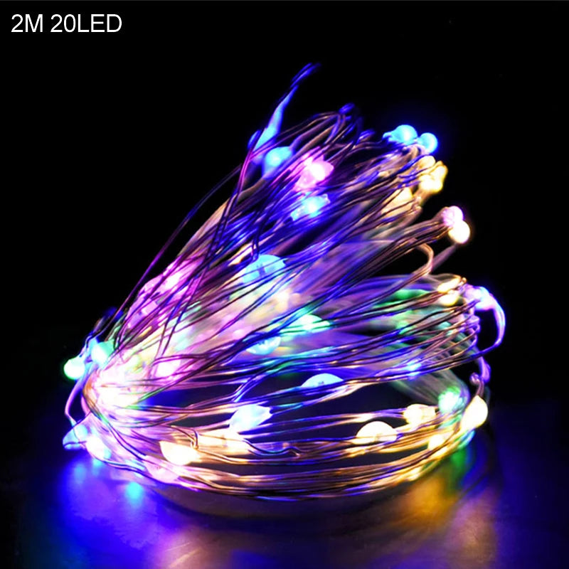 2M 20LED Santa Claus & Snowflake Light String